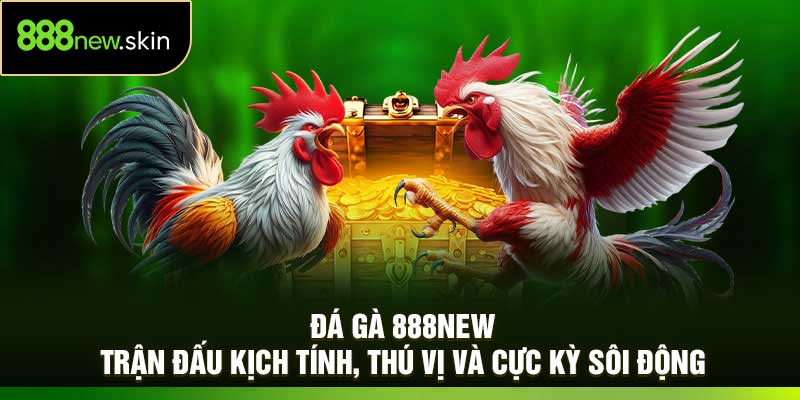 Đá Gà 888New: Trận Đấu Kịch Tính, Thú Vị Và Cực Kỳ Sôi Động